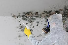 Best Water Damage & Mold Remediation  in Rancho Laveras, CA